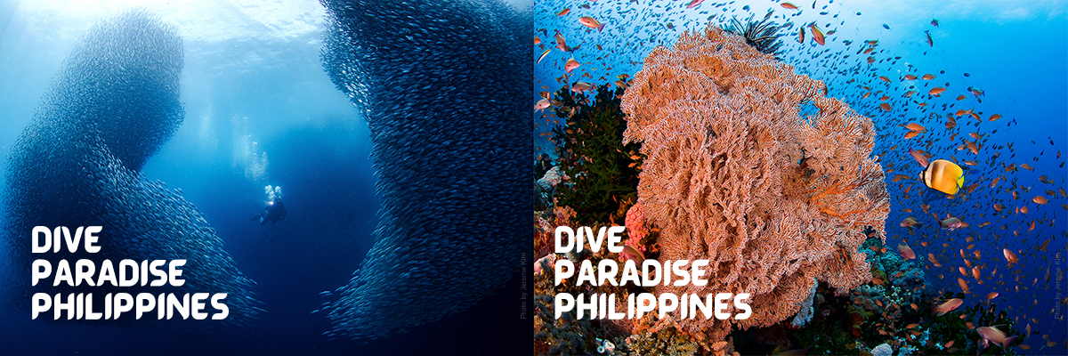 PHIDEX is the official dive expo of diving paradise Philippines