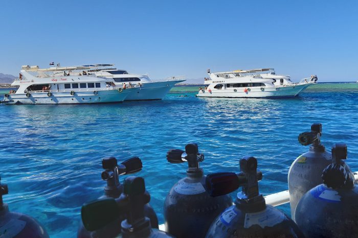 Egypt Implements Environmental Standards to Protect its Coral Reefs