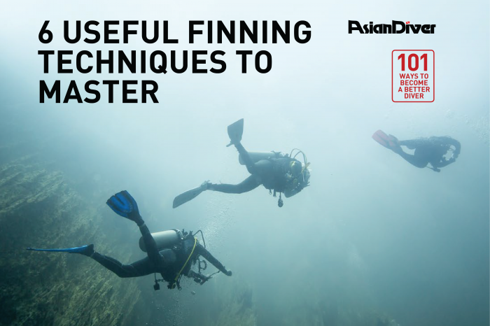 6 Useful Finning Techniques to Master