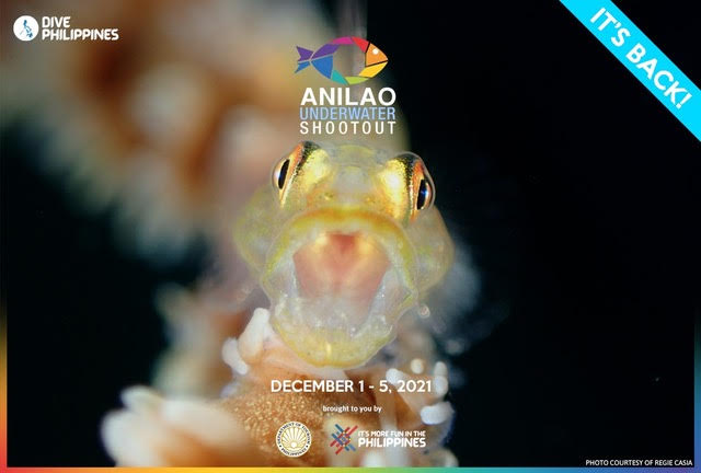 Anilao underwater ‘shootout’ is back!