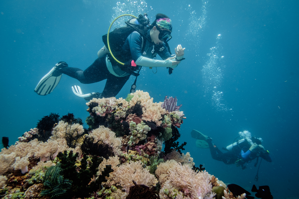 Scuba,Divers,In,Anilao,Philippines