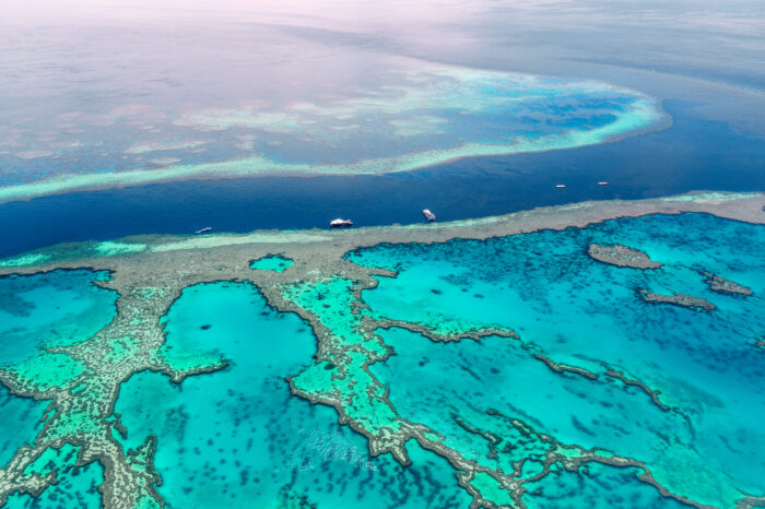 5 Must-Dive Sites in the Great Barrier Reef Marine Park