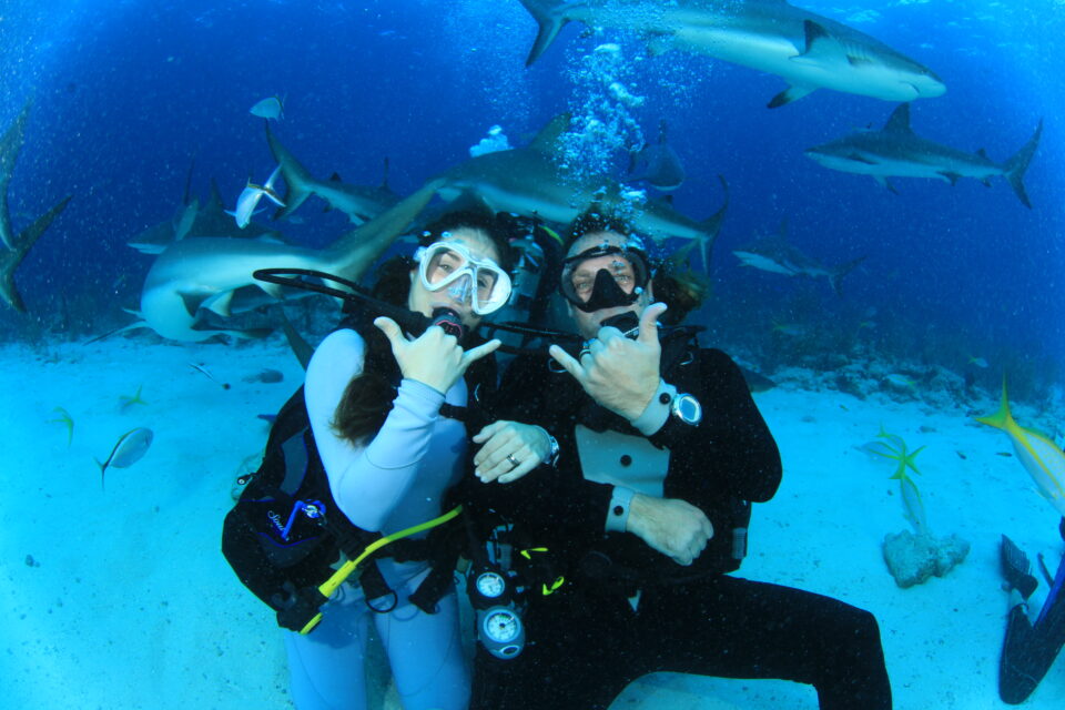 ‘What It Feels Like' to get Married Underwater with Sharks