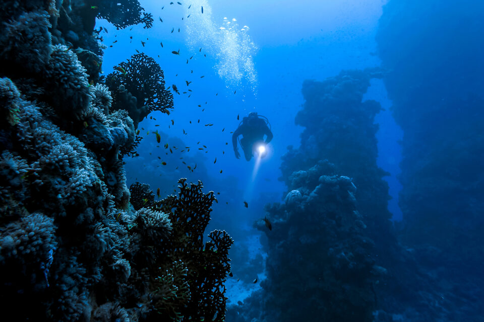 12 Dos and Don'ts of Discovering New Dive Sites
