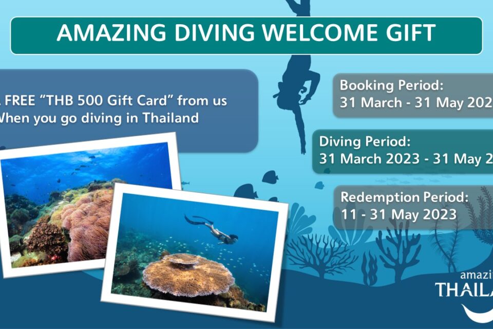 DIVING: THB500 Gift card Redemption, 11-31 May 2023