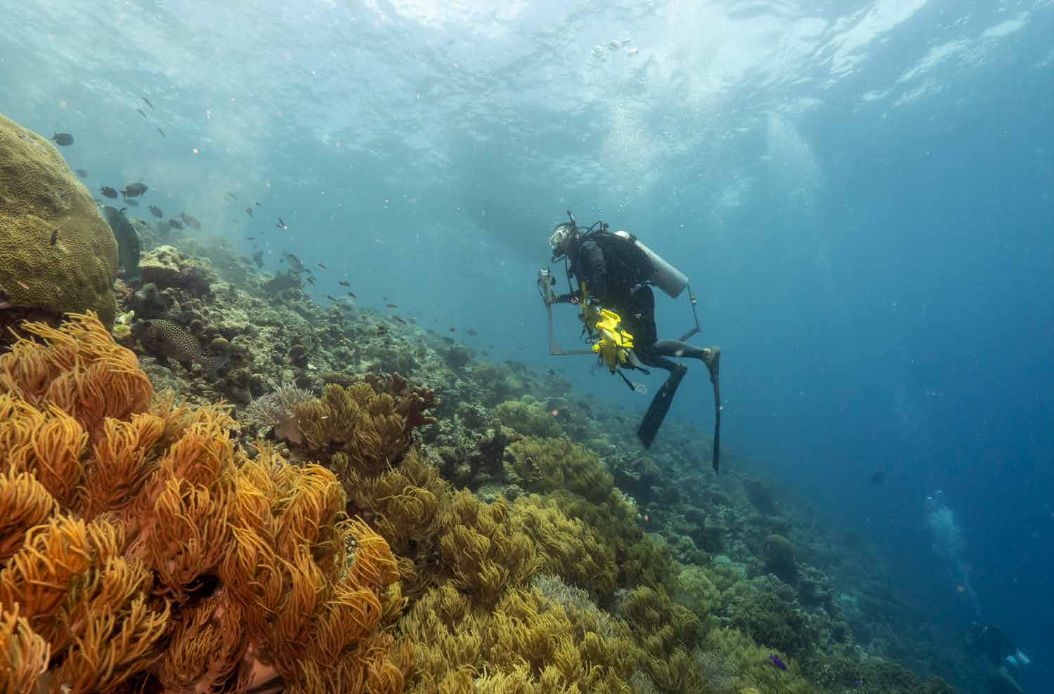 CUSTODIANS OF TUBBATAHA