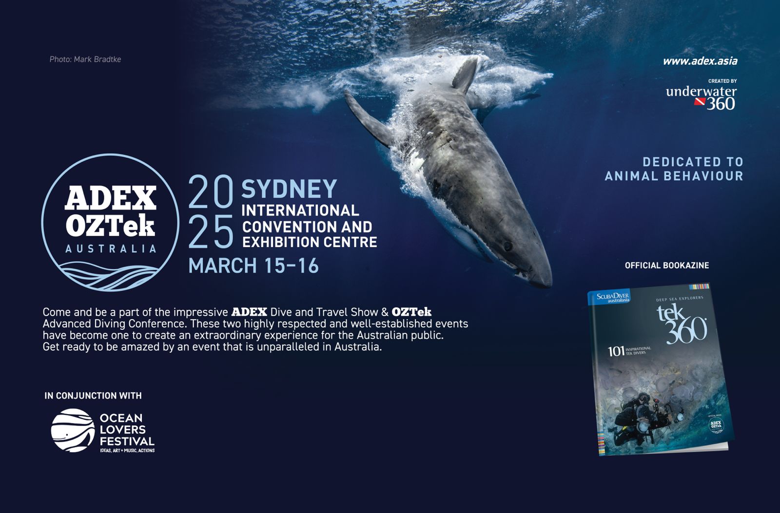 WhatsApp Image 2024-11-13 at 14.08.47_36eaa75e