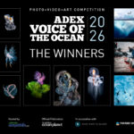 Winners of the ADEX Voice of the Ocean Photo+Video+Art Competition 2026