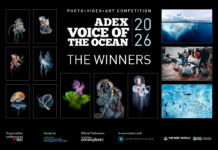 Winners of the ADEX Voice of the Ocean Photo+Video+Art Competition 2026