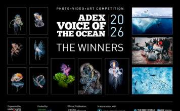 Winners of the ADEX Voice of the Ocean Photo+Video+Art Competition 2026