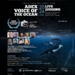 Winners of the ADEX Voice of the Ocean Photo+Video+Art Competition 2026