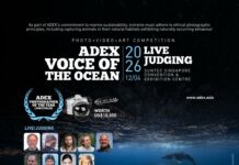 Winners of the ADEX Voice of the Ocean Photo+Video+Art Competition 2026