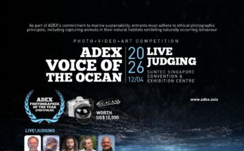 Winners of the ADEX Voice of the Ocean Photo+Video+Art Competition 2026