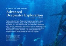A Taste of Tek Diving: Advanced Deepwater Exploration