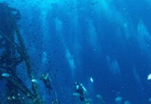 A Taste of Tek Diving: Advanced Deepwater Exploration