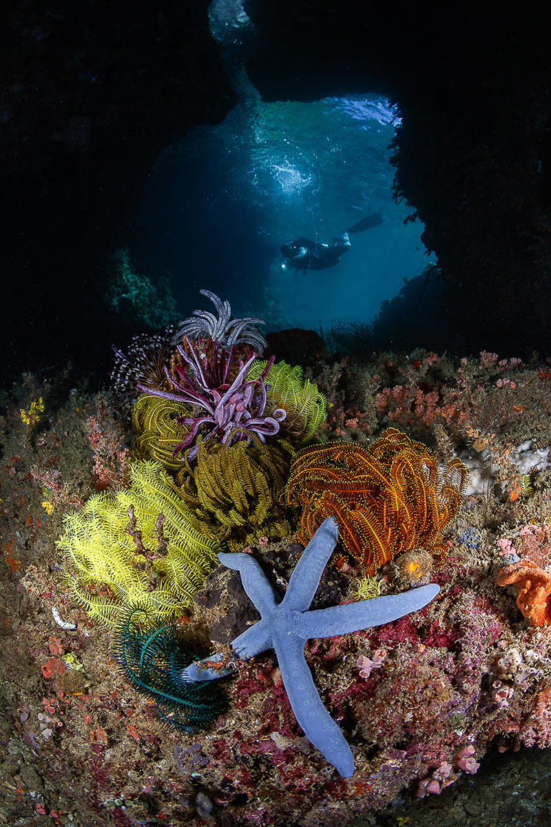 Open Class, Wide Angle, 1st place, PJ Aristorenas