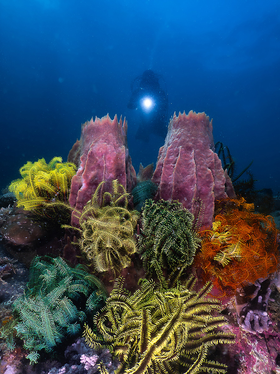 Compact Class, Wide Angle, 2nd place, Van Daniel Magsino
